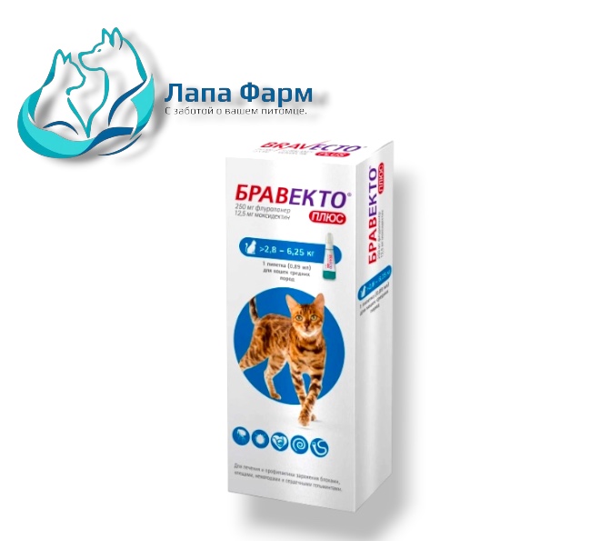 Бравекто плюс 250 кошки(2,8-6,25) срок (08.27)*